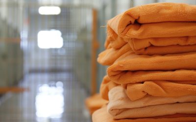 Lavado profesional de cobijas en Bogotá con Lavaonline